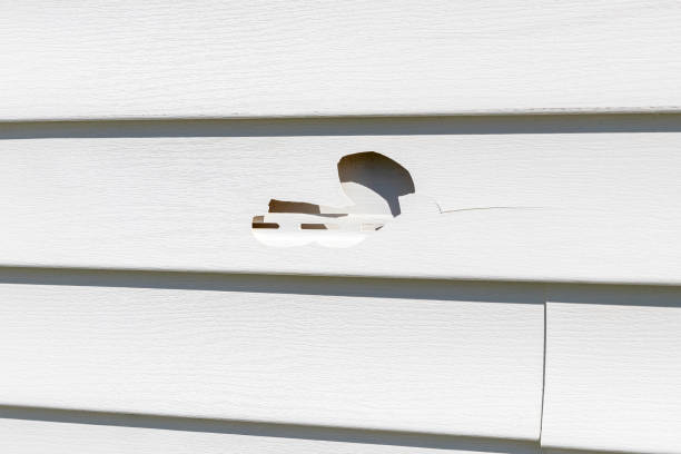 Best Vinyl Siding Installation  in Boerne, TX